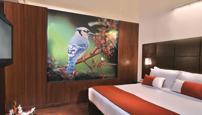 באטינדה Comfort Inn Tulip Heights מראה חיצוני תמונה